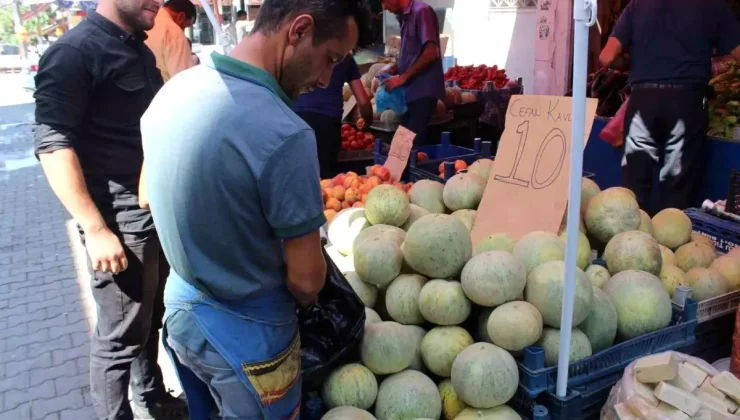 Siirt’in Kurtalan ilçesinde yetişen Cefan Kavunu Türkiye’ye gönderiliyor